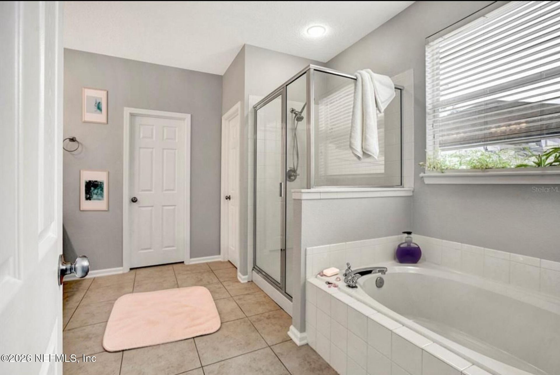 3060 Plantation Ridge Drive, Green Cove Springs, FL 32043 Photo