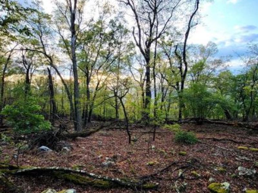 Lot 7 Justin Lane, Great Cacapon, WV 25422 Main Photo