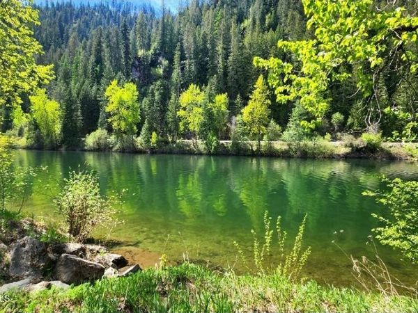248 Cedar Grove Lane, St. Maries, ID 83861