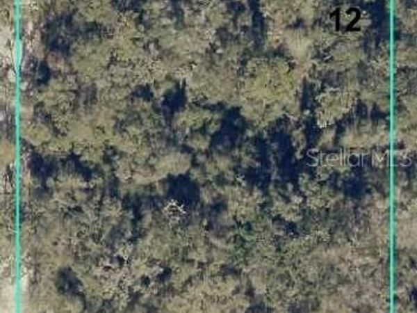 12146 SW 41ST WAY , WEBSTER, FL 33597