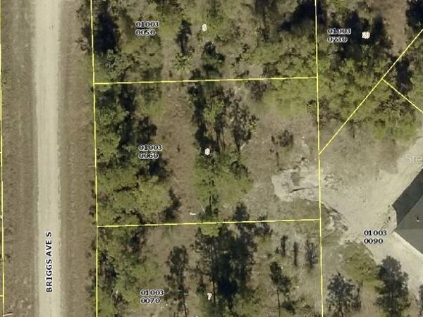 315 BRIGGS AVENUE S, LEHIGH ACRES, FL 33974