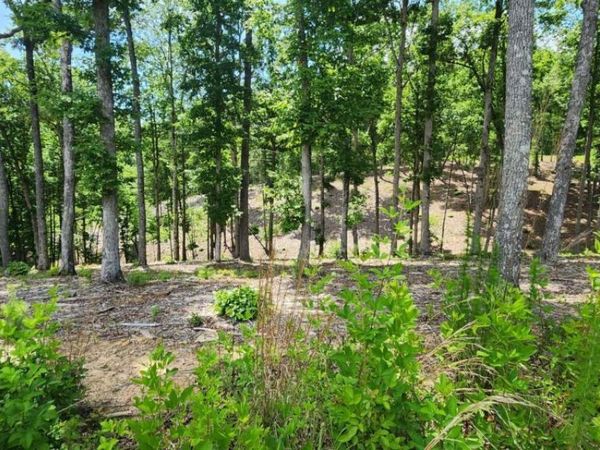 LT 106 Split Creek Road, Unit 106, Morganton, GA 30560