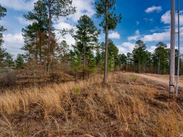 19 LOOKOUT Lane, Unit Lot 11, Kirby, AR 71950