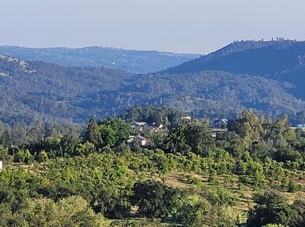 1262 Grizzly Flat Ct, Auburn, CA 95603 Photo