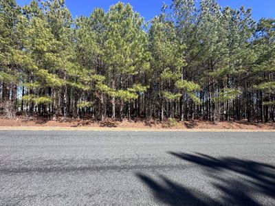 00 Horses Neck Road, Unit Lot 17a, Swansea, SC 29160