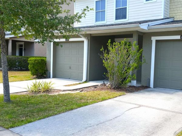 8216 DOWNPATRICK COURT , TAMPA, FL 33610
