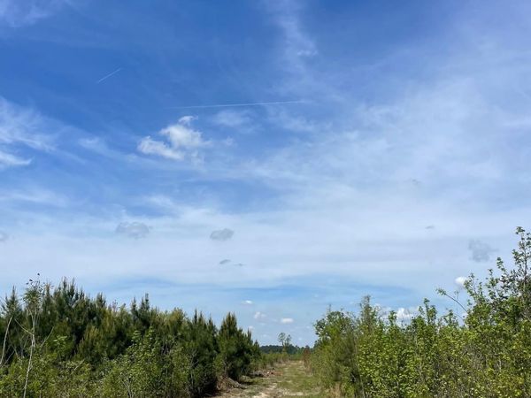 TBD 30 ac Rocky Ford Rd. , Salters, SC 29590