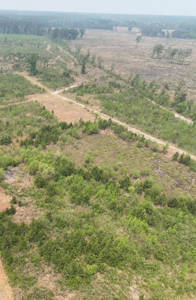 Tbd 30 Ac Rocky Ford Rd.  Photo 10