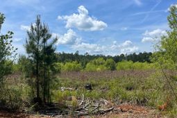 Tbd 30 Ac Rocky Ford Rd.  photo 4