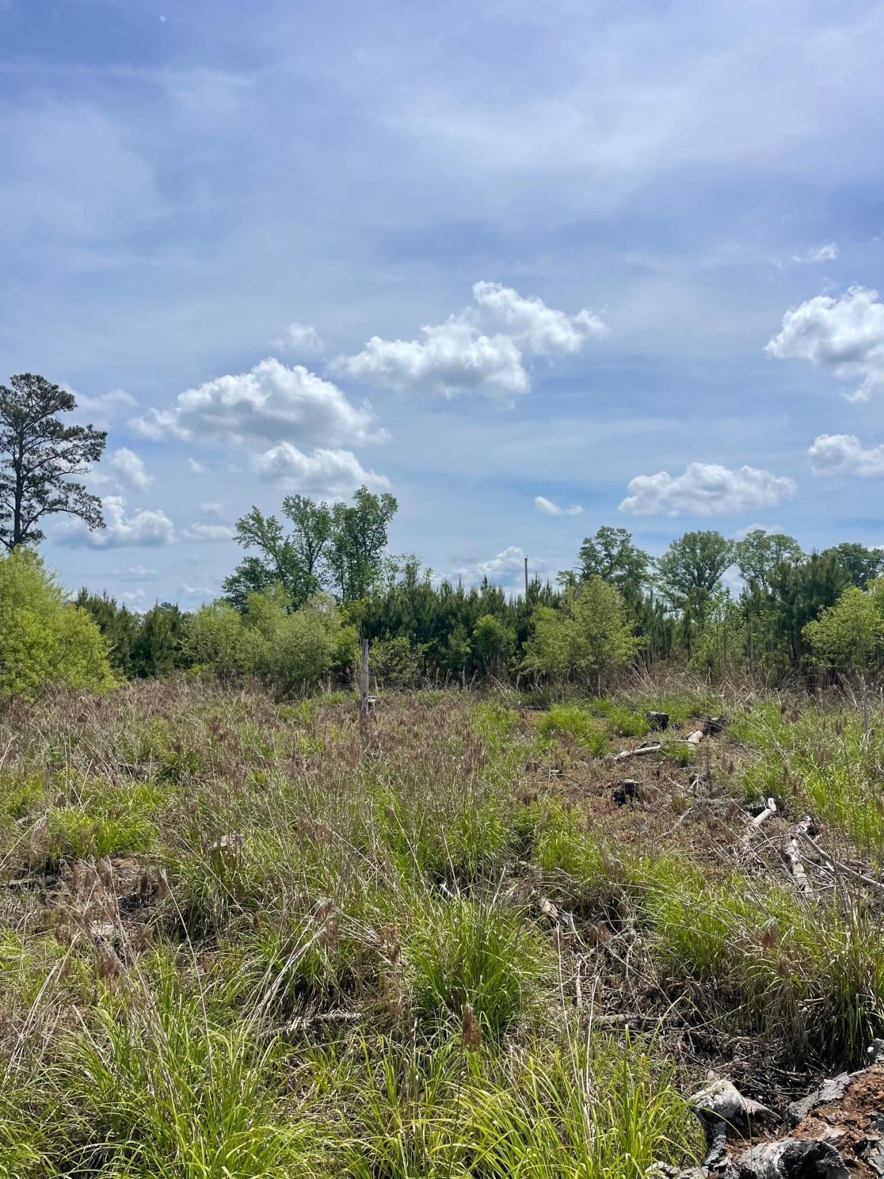 Tbd 30 Ac Rocky Ford Rd.  Photo 4