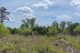 Tbd 30 Ac Rocky Ford Rd.  photo 4