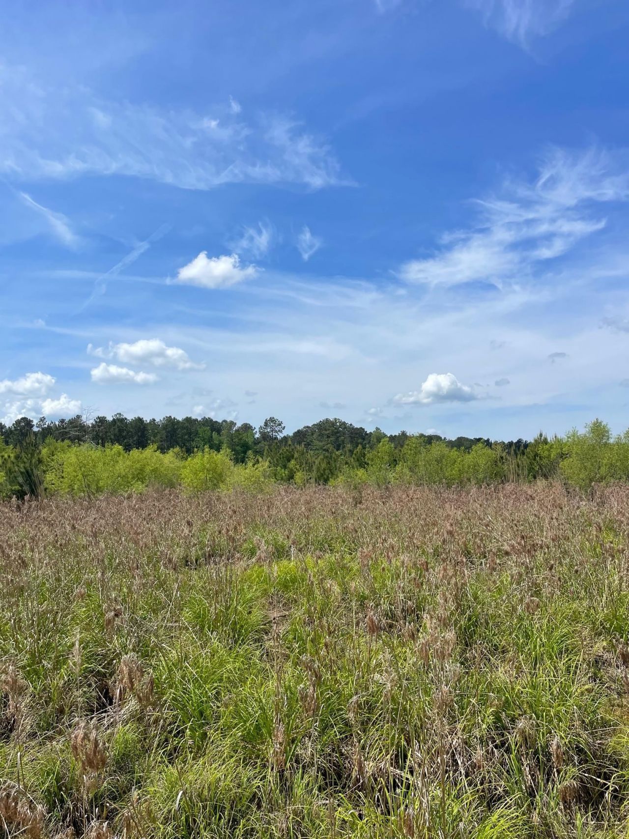 Tbd 30 Ac Rocky Ford Rd.  Photo 5