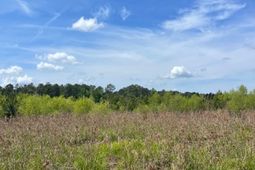 Tbd 30 Ac Rocky Ford Rd.  photo 4