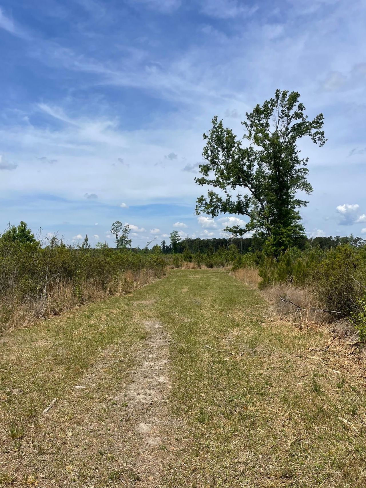 Tbd 30 Ac Rocky Ford Rd.  Photo 7