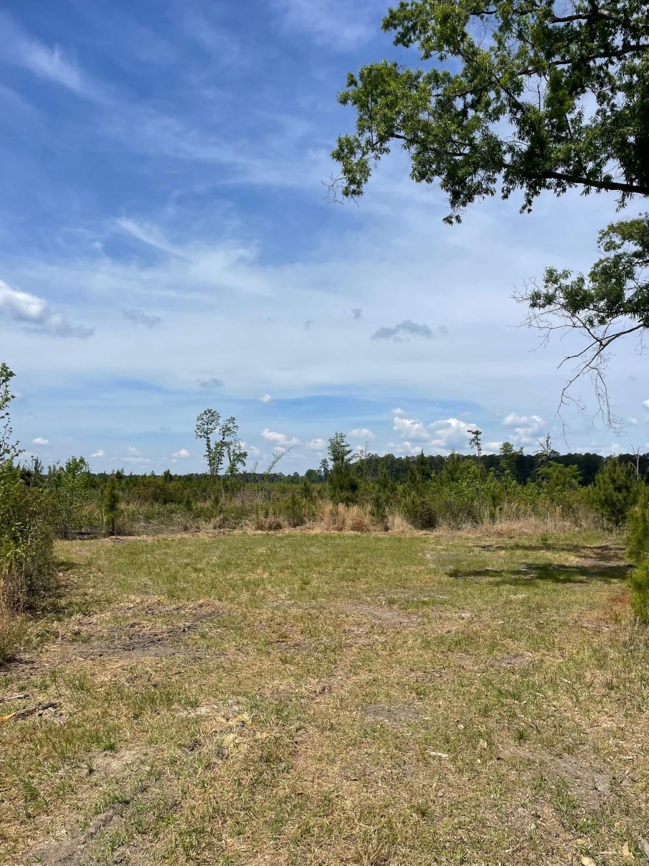 Tbd 30 Ac Rocky Ford Rd.  Photo 8