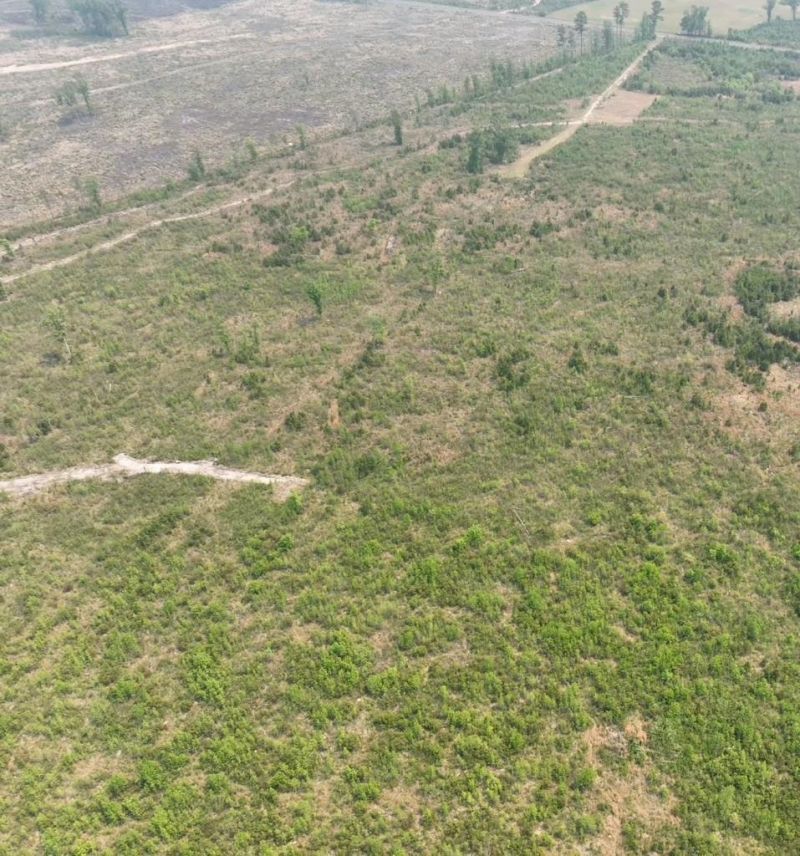Tbd 30 Ac Rocky Ford Rd.  Photo 9