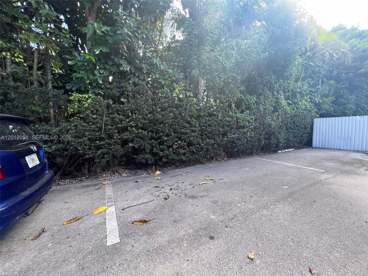 6310 SW 79th St , Unit 20, South Miami, FL 33143 Photo