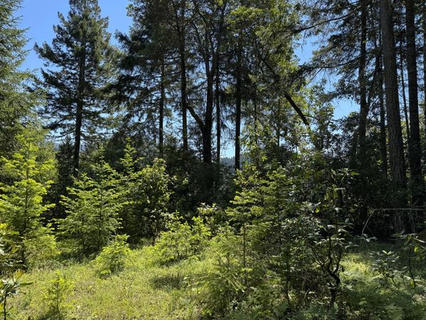 1522 Bridge Lane, Wolf Creek, OR 97497