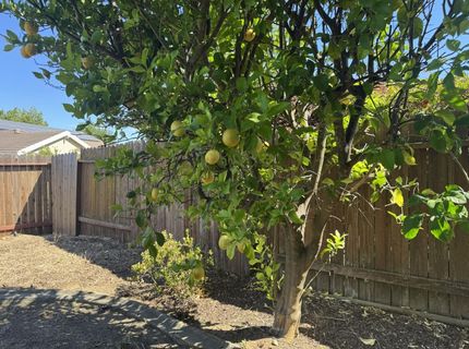 4117 Tahoe Vista Dr, Rocklin, CA 95765 Photo