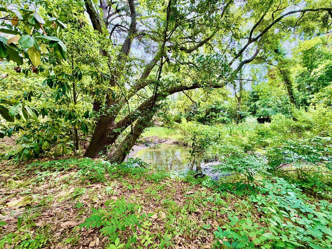 2069 Saint James Drive Photo 11