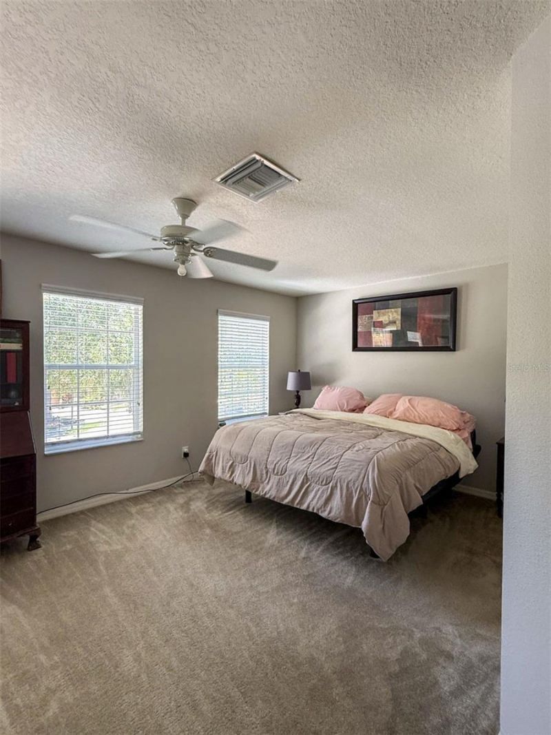 17535 Stinchar Drive, Land O Lakes, FL 34638 Photo