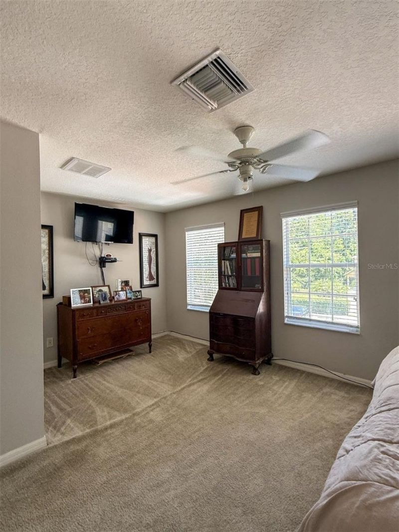 17535 Stinchar Drive, Land O Lakes, FL 34638 Photo