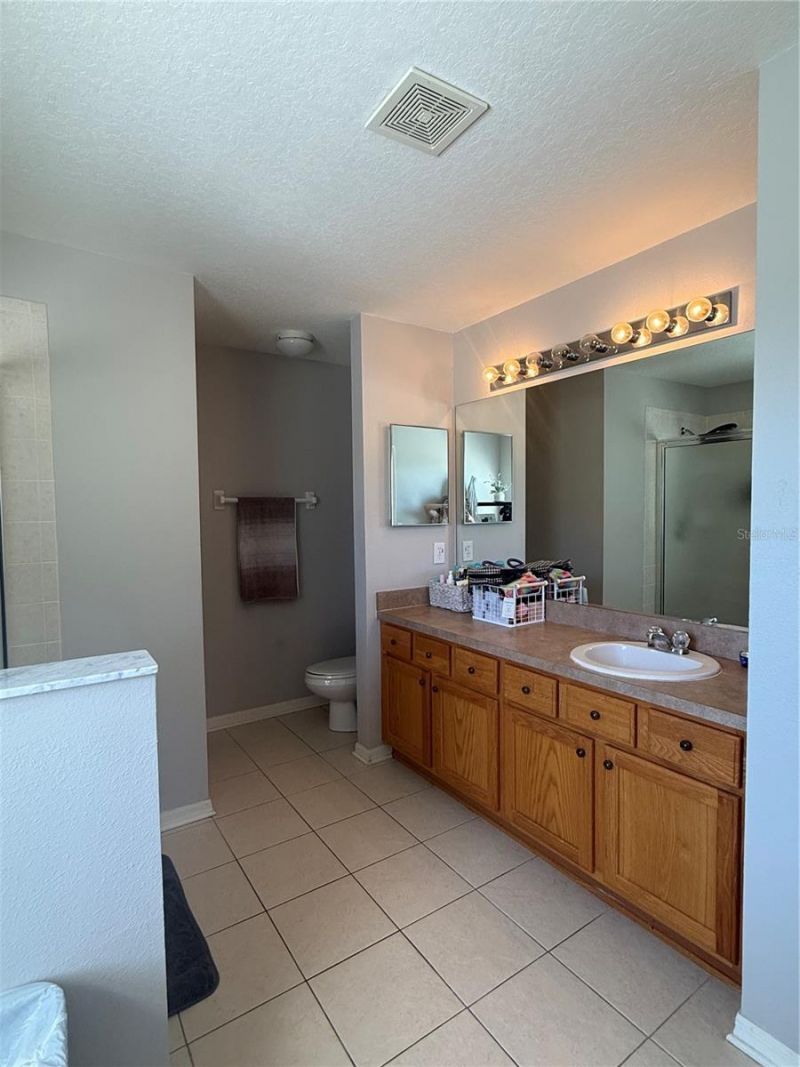 17535 Stinchar Drive, Land O Lakes, FL 34638 Photo