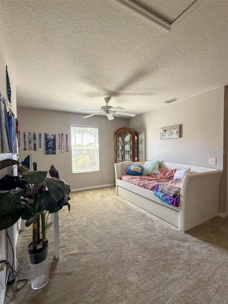 17535 Stinchar Drive, Land O Lakes, FL 34638 Photo