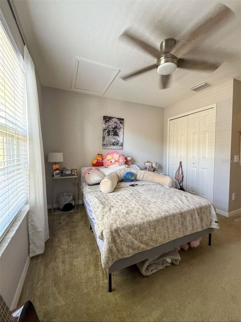 17535 Stinchar Drive, Land O Lakes, FL 34638 Photo
