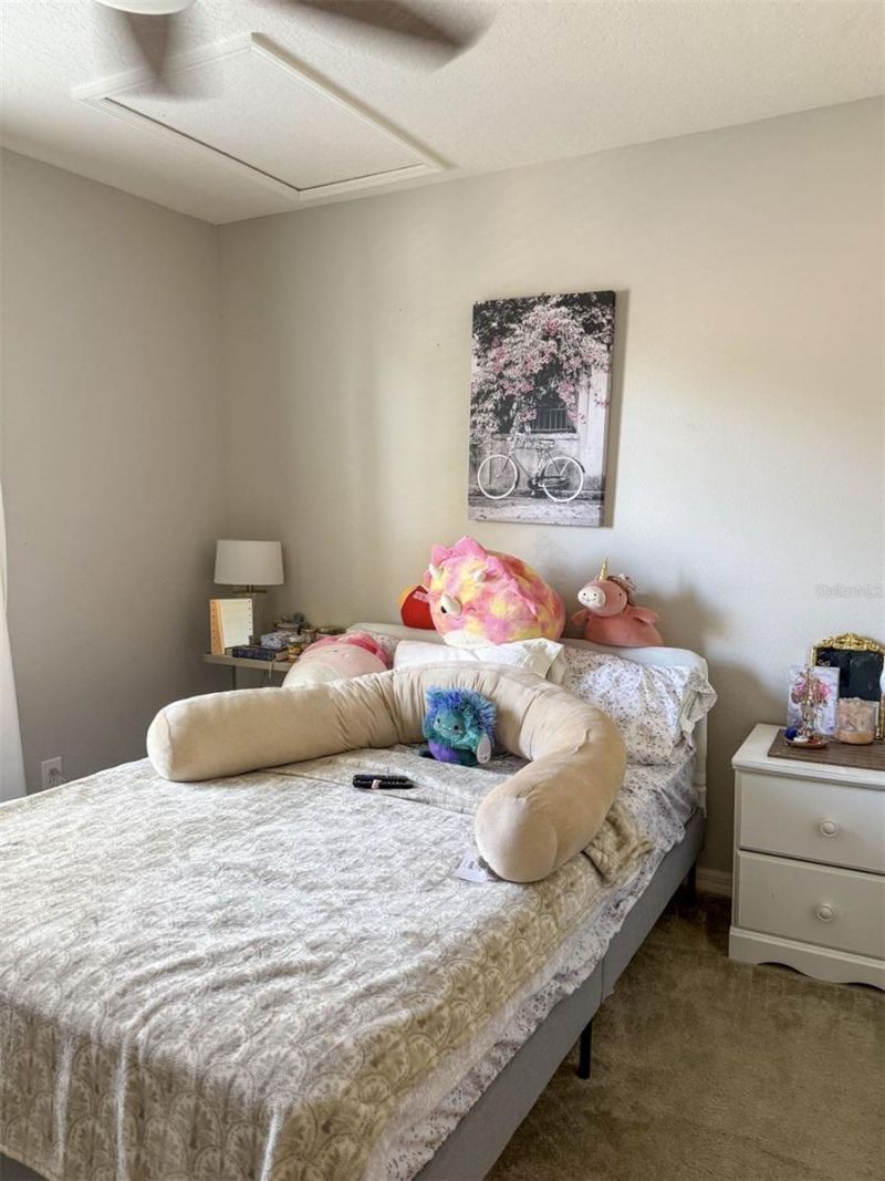 17535 Stinchar Drive, Land O Lakes, FL 34638 Photo