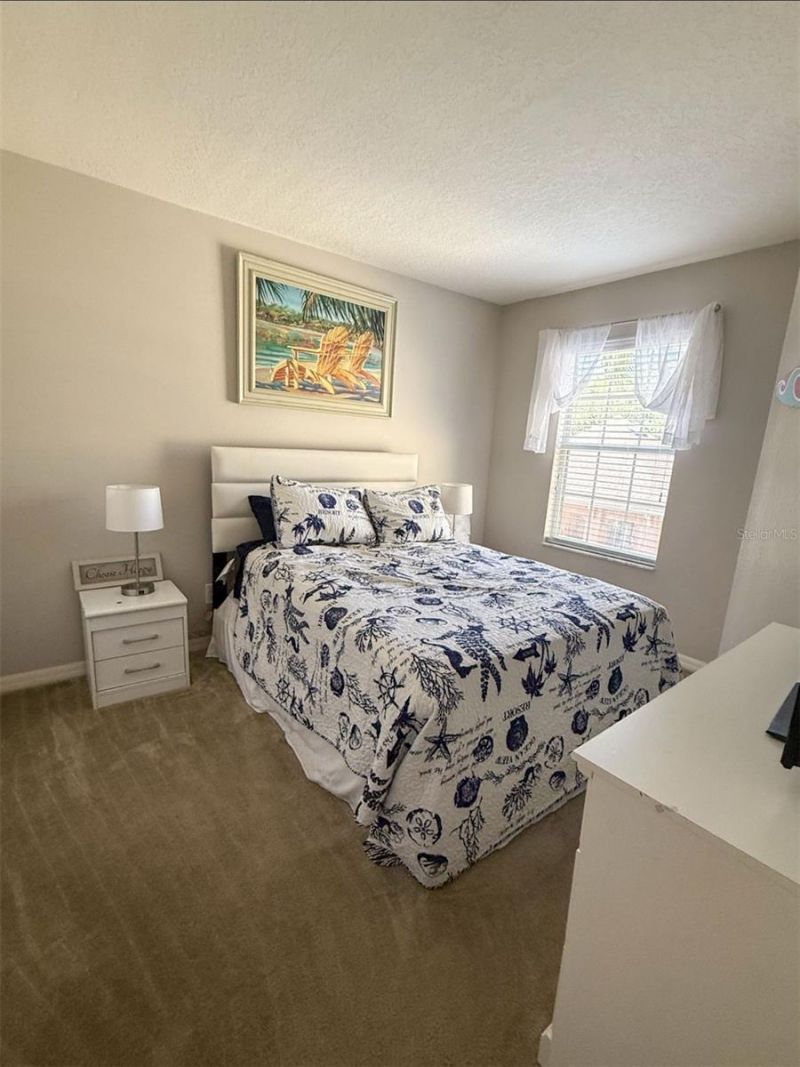 17535 Stinchar Drive, Land O Lakes, FL 34638 Photo