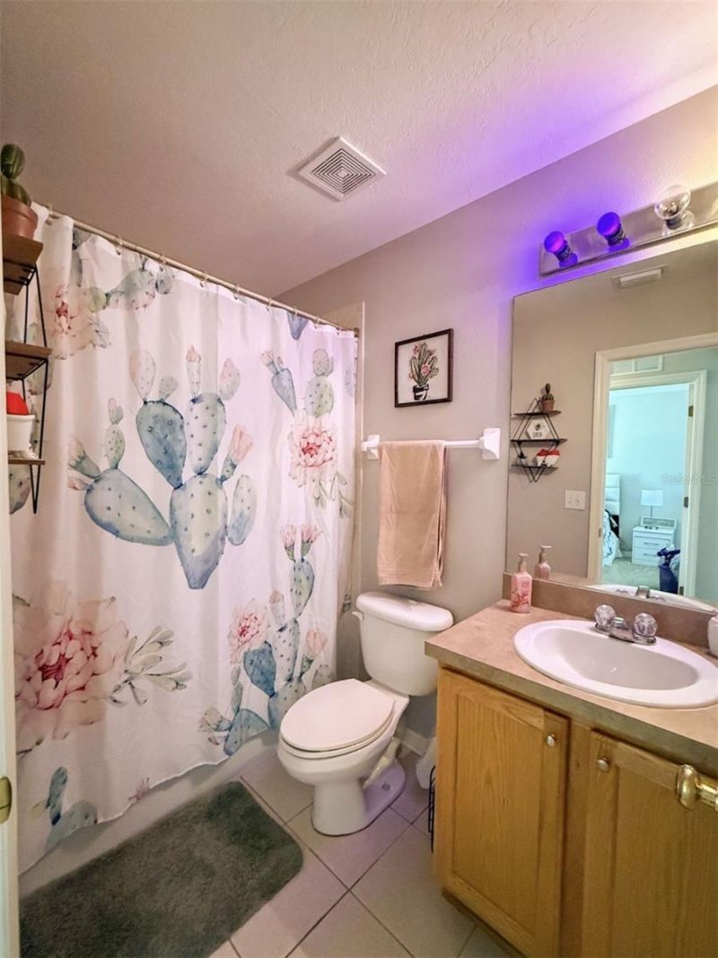 17535 Stinchar Drive, Land O Lakes, FL 34638 Photo