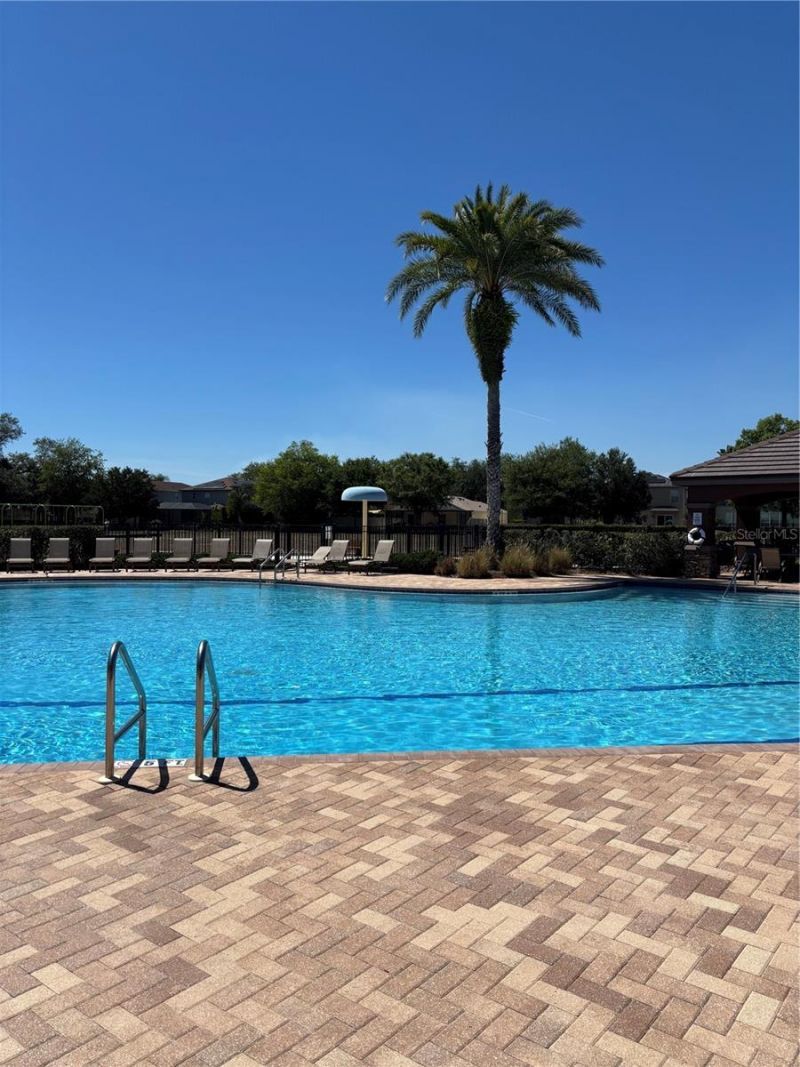 17535 Stinchar Drive, Land O Lakes, FL 34638 Photo