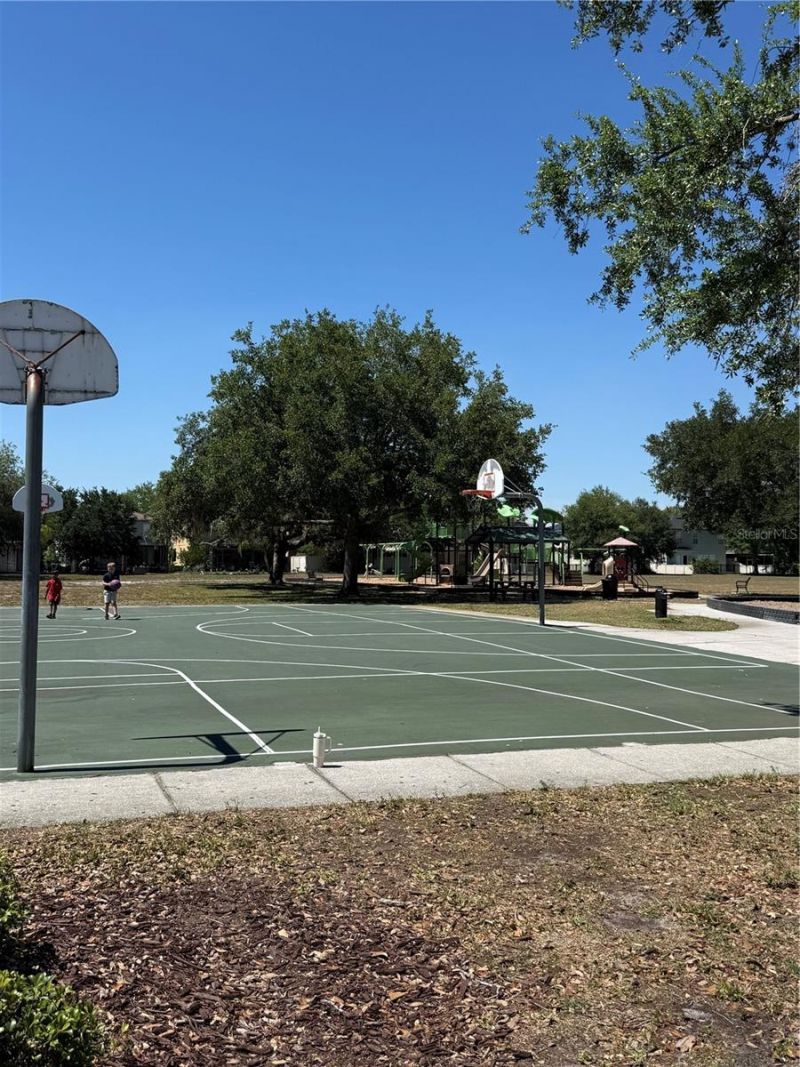 17535 Stinchar Drive, Land O Lakes, FL 34638 Photo