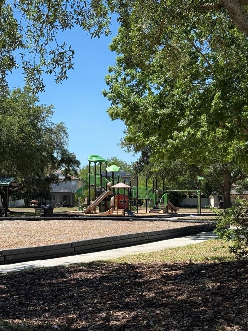 17535 Stinchar Drive, Land O Lakes, FL 34638 Photo