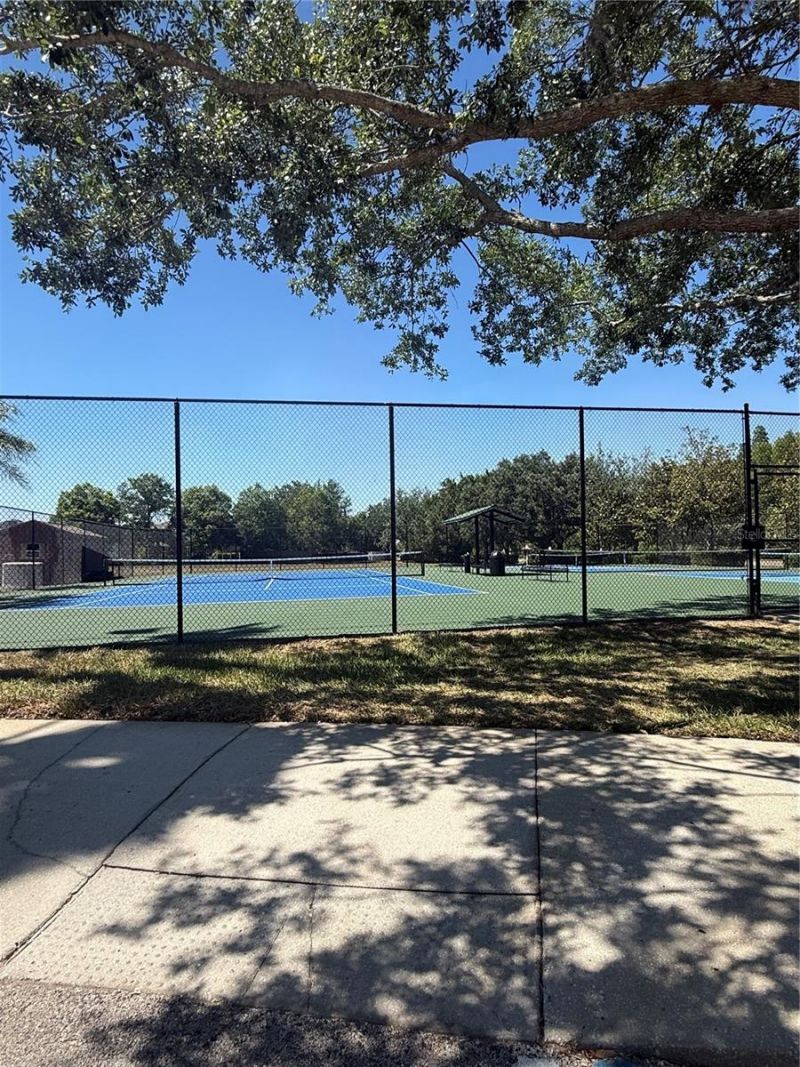 17535 Stinchar Drive, Land O Lakes, FL 34638 Photo