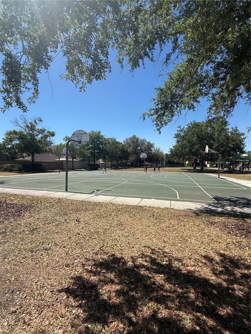 17535 Stinchar Drive, Land O Lakes, FL 34638 Photo