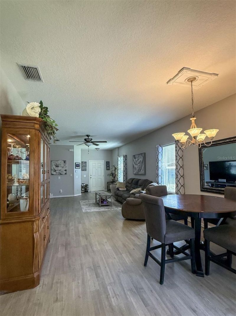 17535 Stinchar Drive, Land O Lakes, FL 34638 Photo