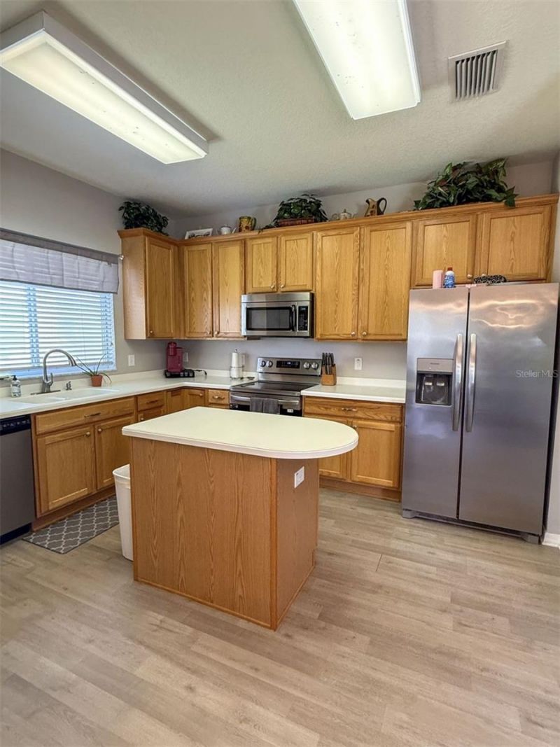17535 Stinchar Drive, Land O Lakes, FL 34638 Photo