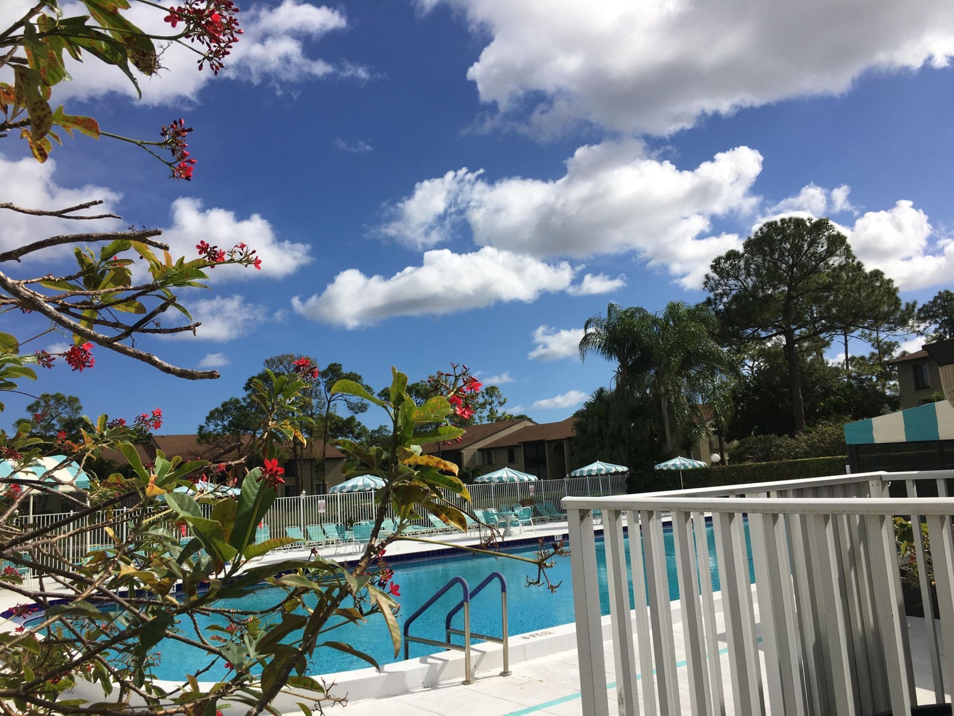 724 Sunny Pine Way, Unit D2, Greenacres, FL 33415 Photo