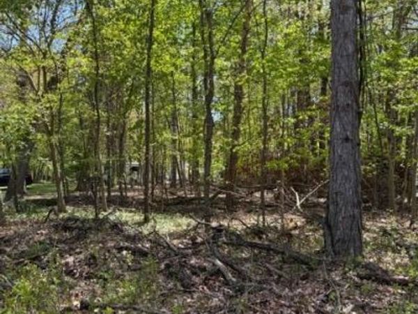 11513 Hillary Drive, Jerome, MI 49249