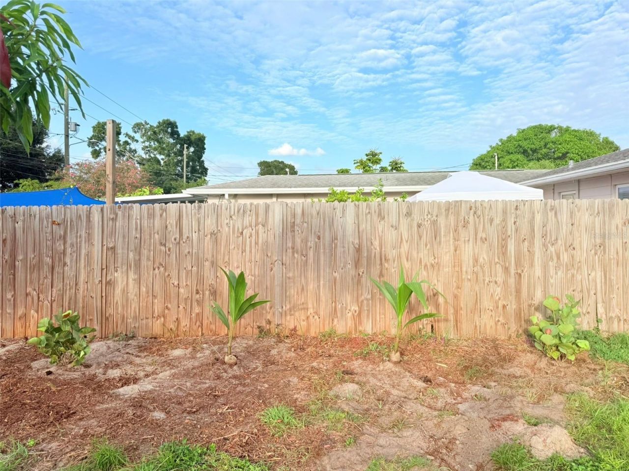 5545 3rd Ave N, Saint Petersburg, FL 33710 Photo