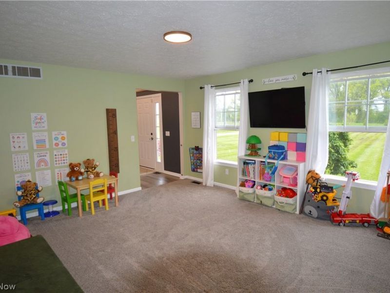 12555 Akron Canfield Road, North Jackson, OH 44451 Photo 14
