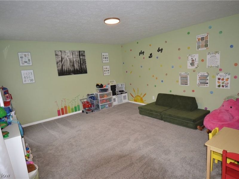 12555 Akron Canfield Road, North Jackson, OH 44451 Photo 15