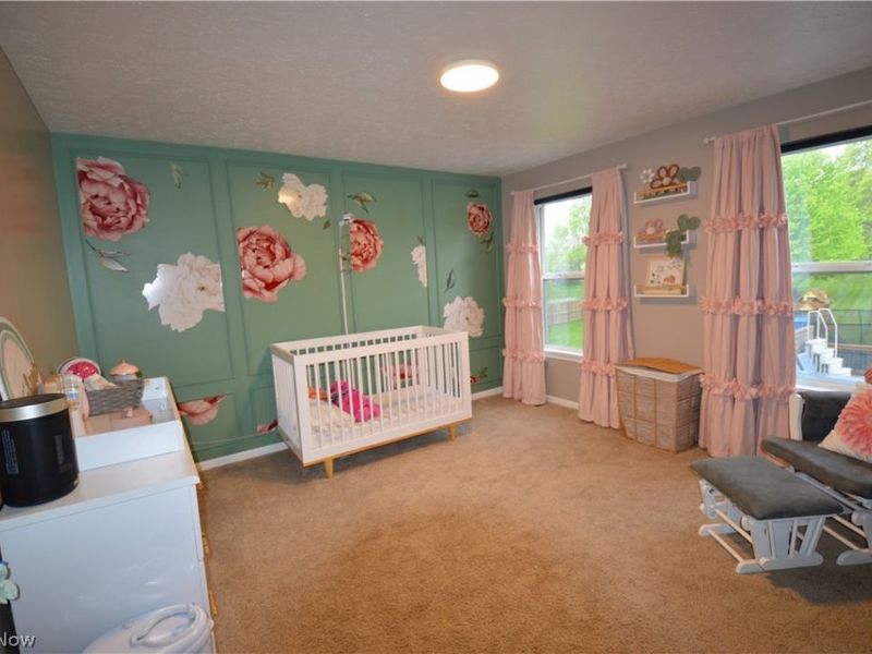 12555 Akron Canfield Road, North Jackson, OH 44451 Photo 19