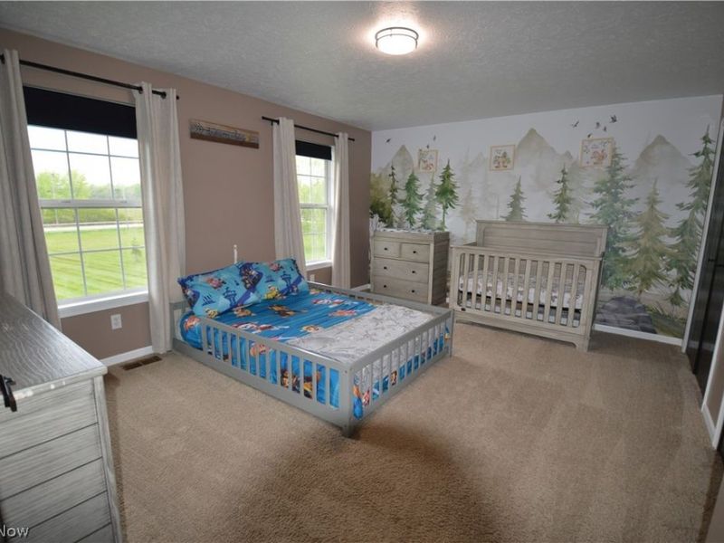 12555 Akron Canfield Road, North Jackson, OH 44451 Photo 20