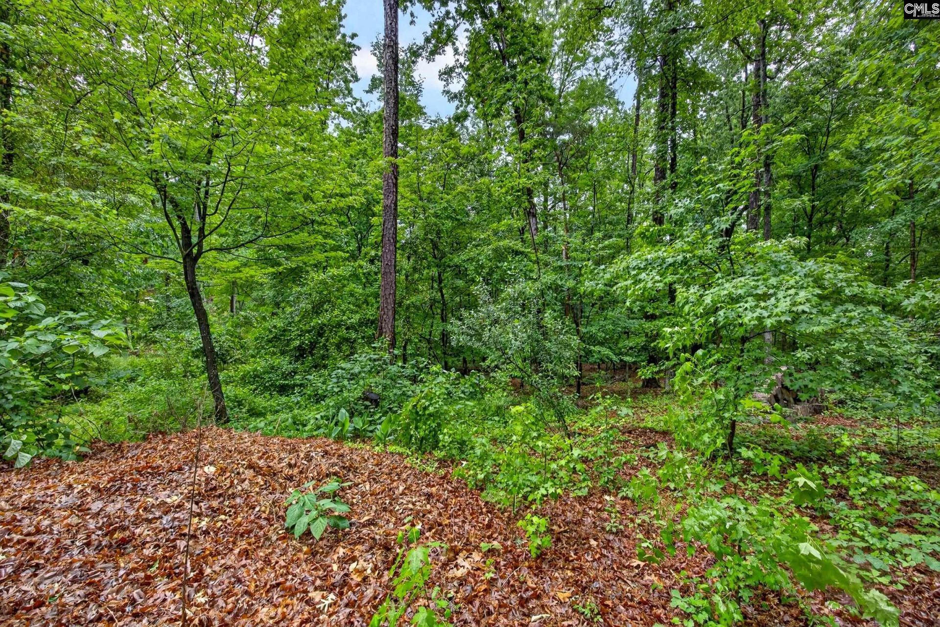248 Platinum Drive  Photo 37