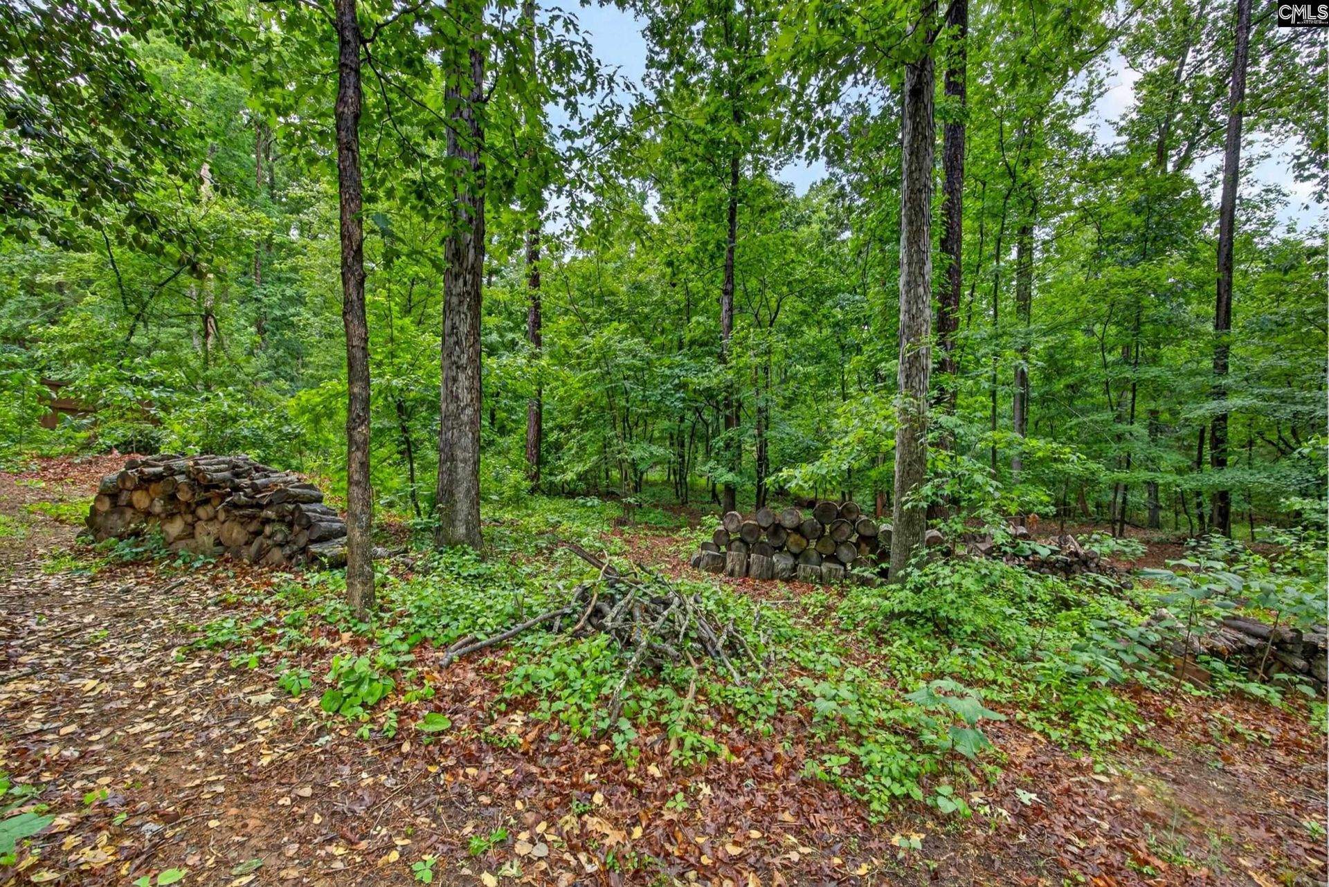 248 Platinum Drive  Photo 38
