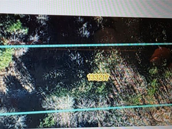 342 Harrison Avenue , Yadkinville, NC 27055