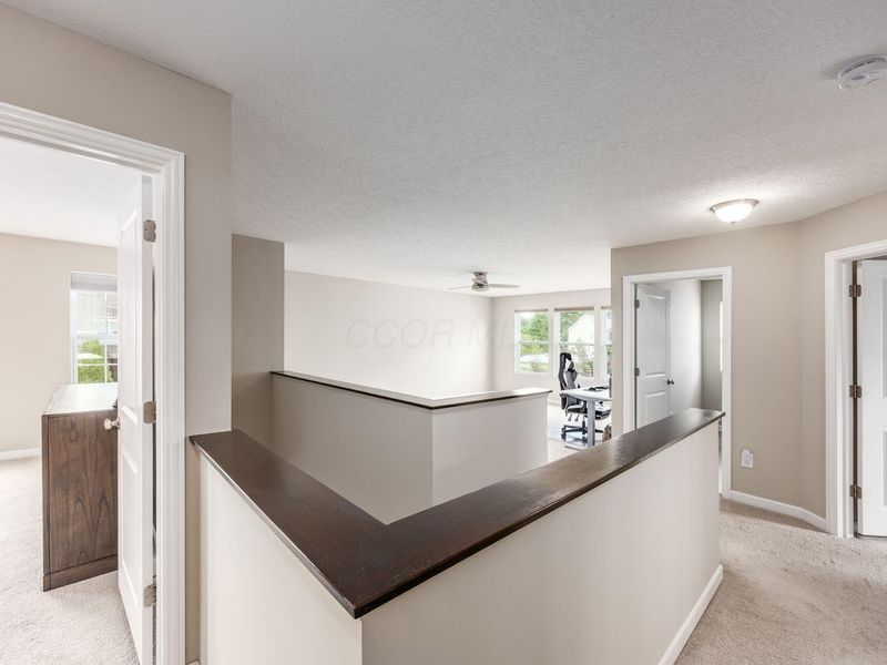 4916 Black Sycamore Drive, Columbus, OH 43231 Photo 30